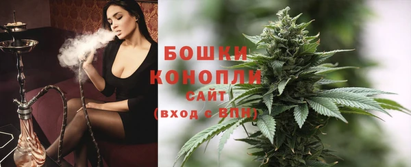 первитин Богданович