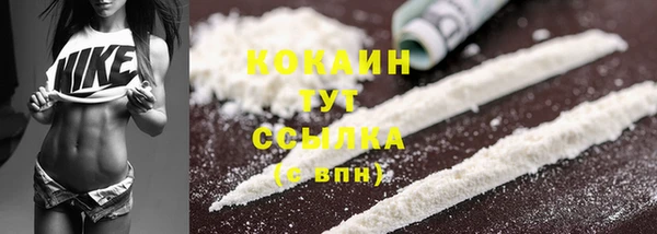первитин Богданович