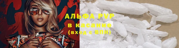 первитин Богданович