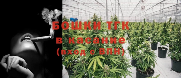 первитин Богданович