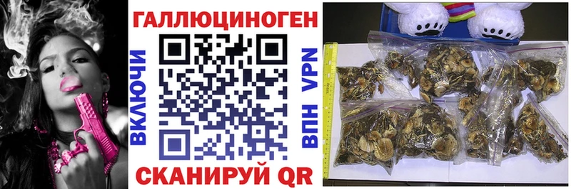 Псилоцибиновые грибы GOLDEN TEACHER  Красноармейск 
